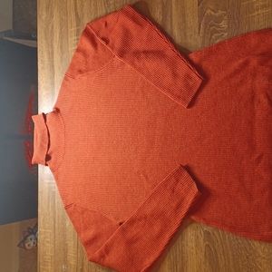 (Banana Republic Turtleneck Sweater)